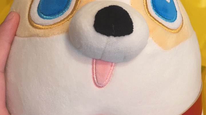 【2023-3-13 15点场】为何敏捷猫:玫瑰到了花期 6106737