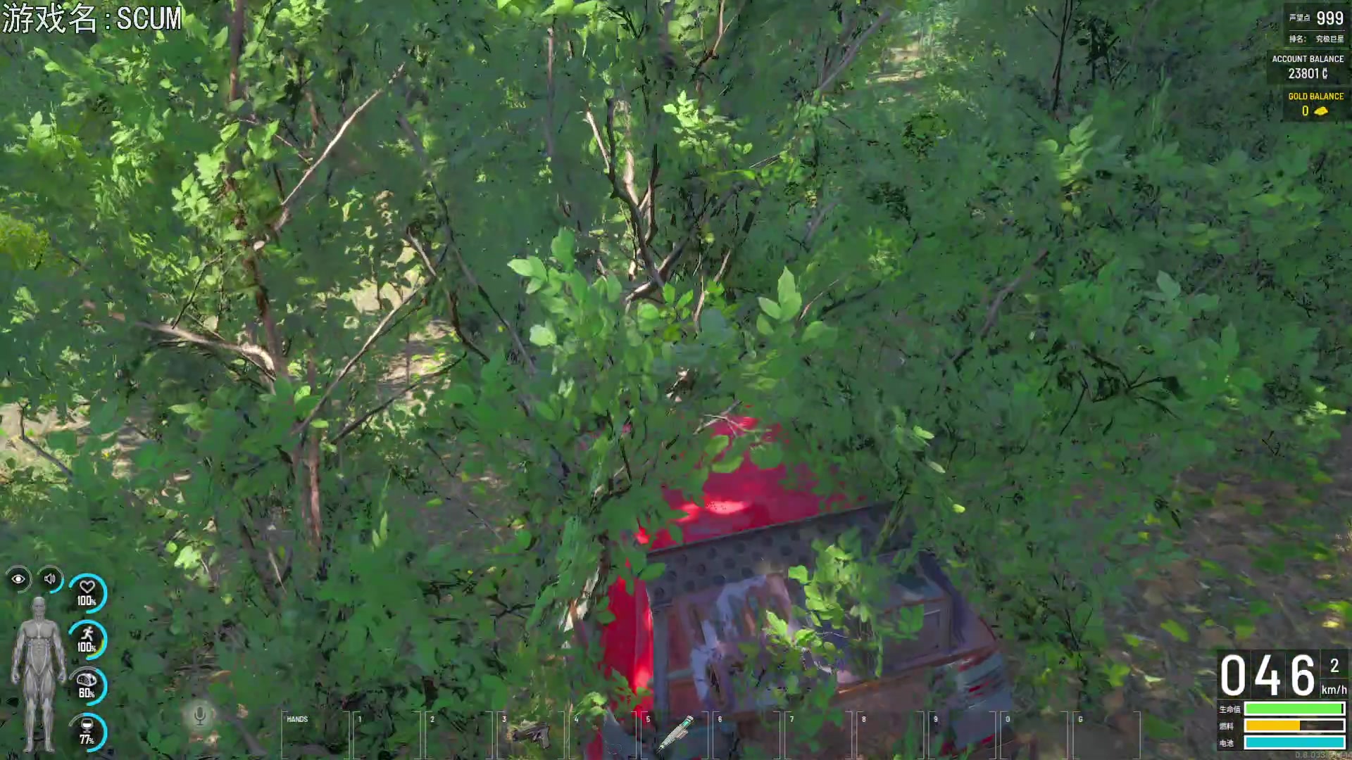 【2023-03-15 18点场】巴格拉斯：热爱生活，走进巴叔