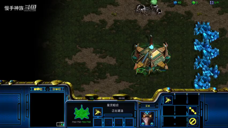 pvz-斗魂慢x捅破-慢手神族-韩服-星际争霸