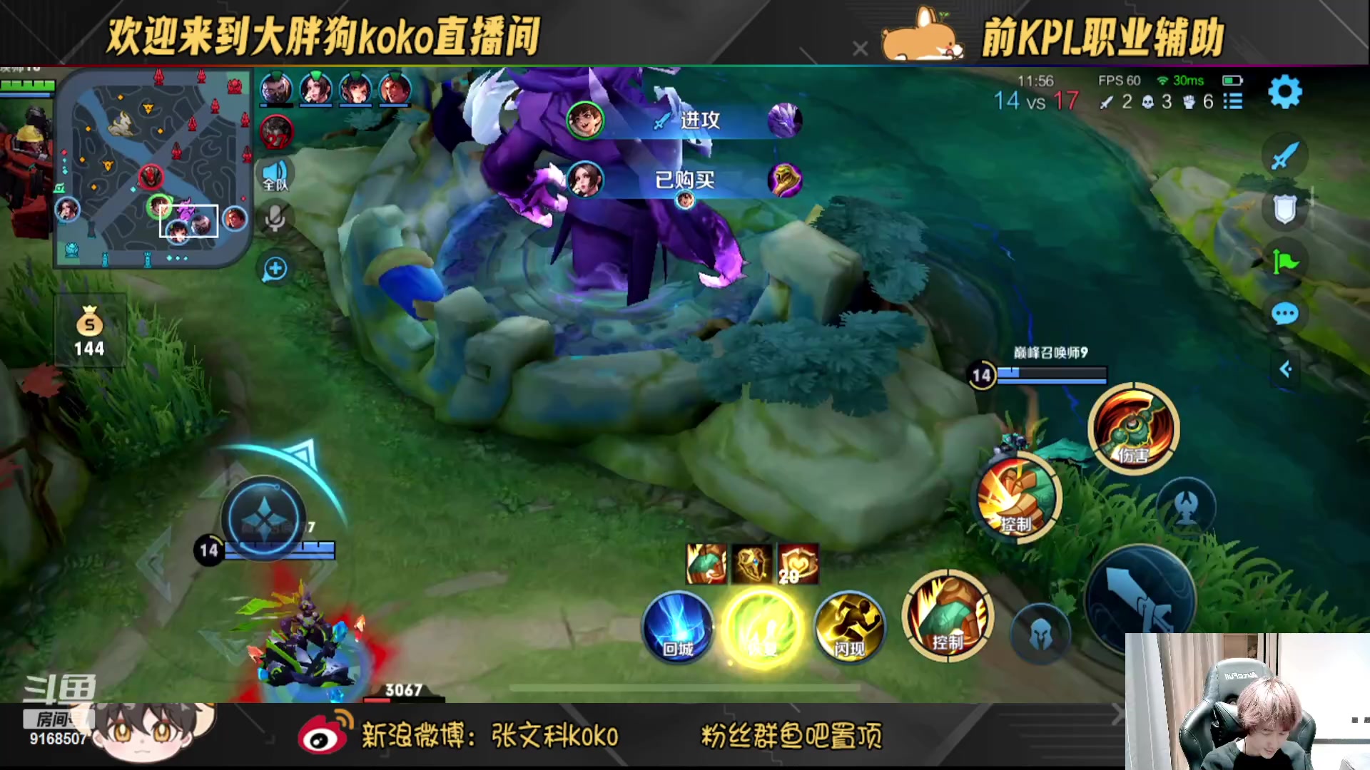 【2023-03-15 20点场】大胖狗koko：开心快乐每一天 9168507