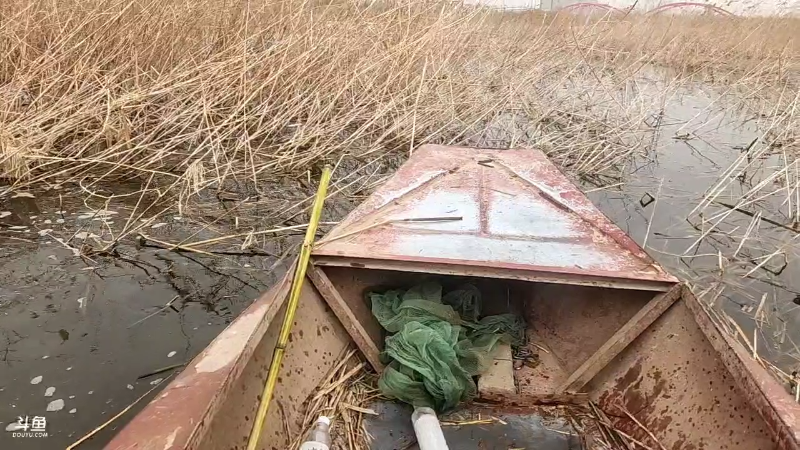 【户外】微山湖捕鱼武工队的精彩时刻 20230315 12点场