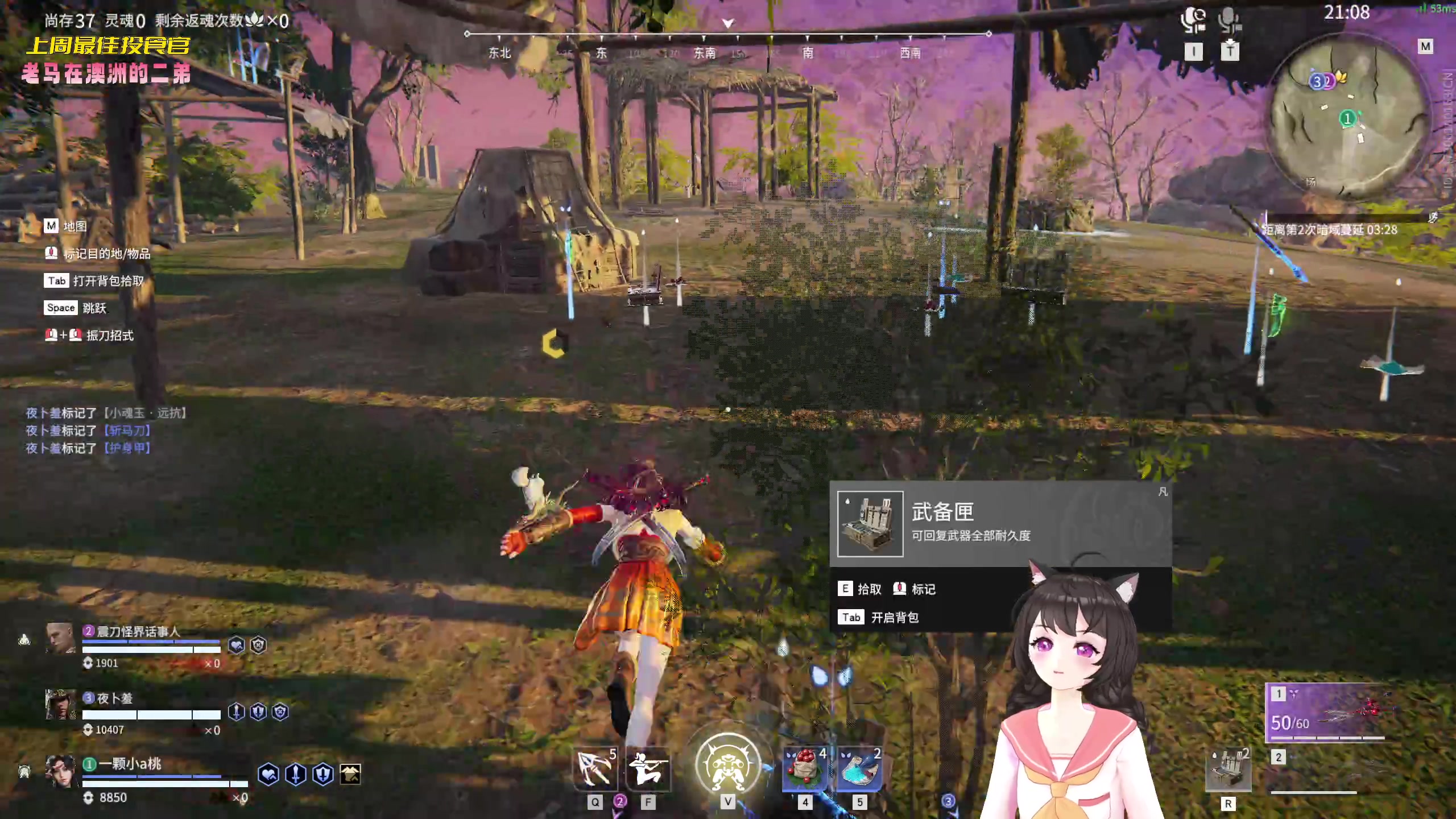 【2023-03-13 21点场】一颗小a桃：【小奶团】桃灵儿变强之路的第250天