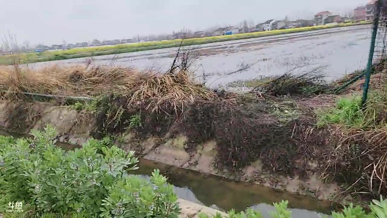 【2023-03-16 15点场】洪湖小肖：外面下雨了回燕窝路上