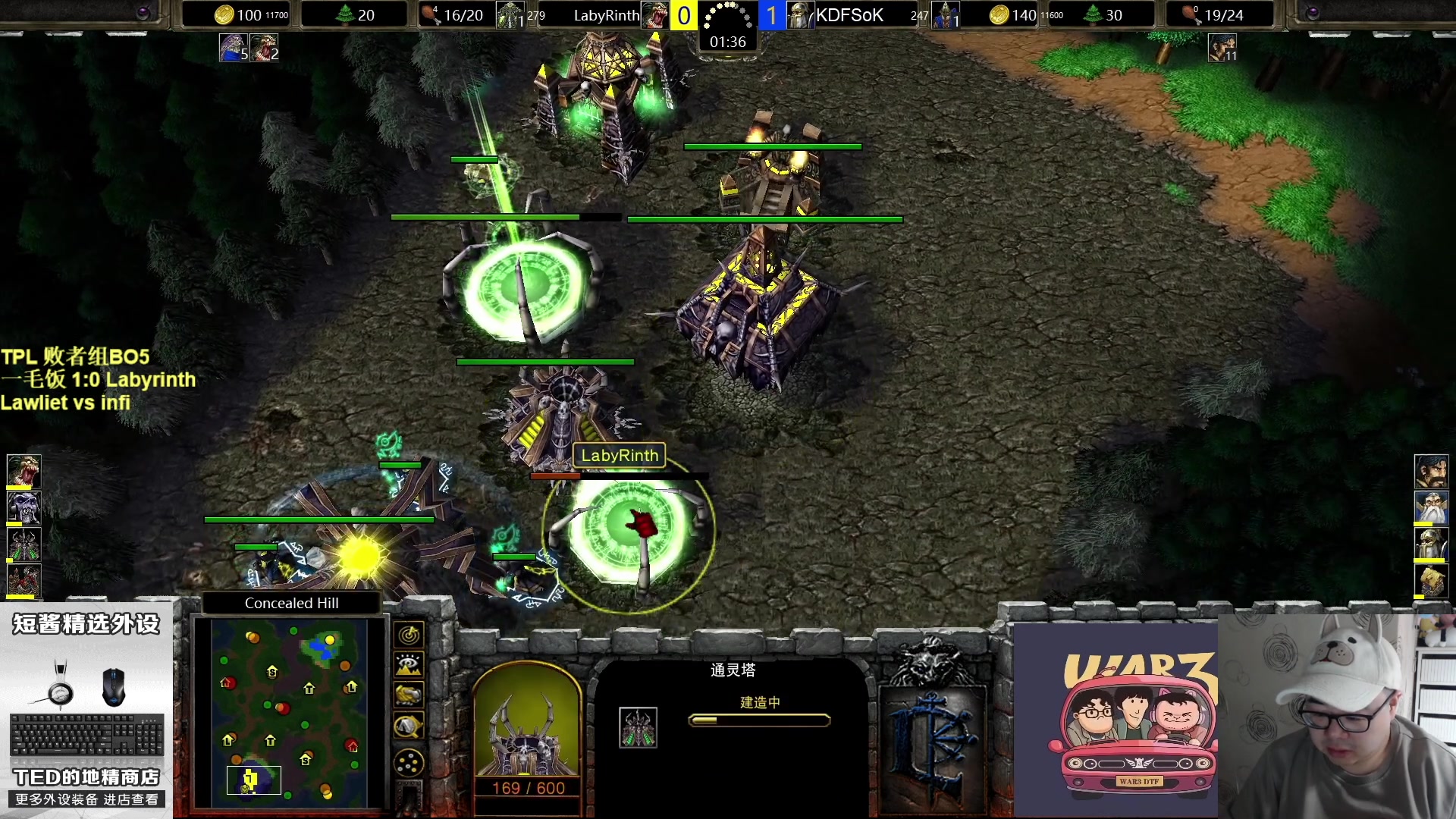 【2023-03-16 18点场】War3TeD：【直播中】7点TPL 败者组第一轮