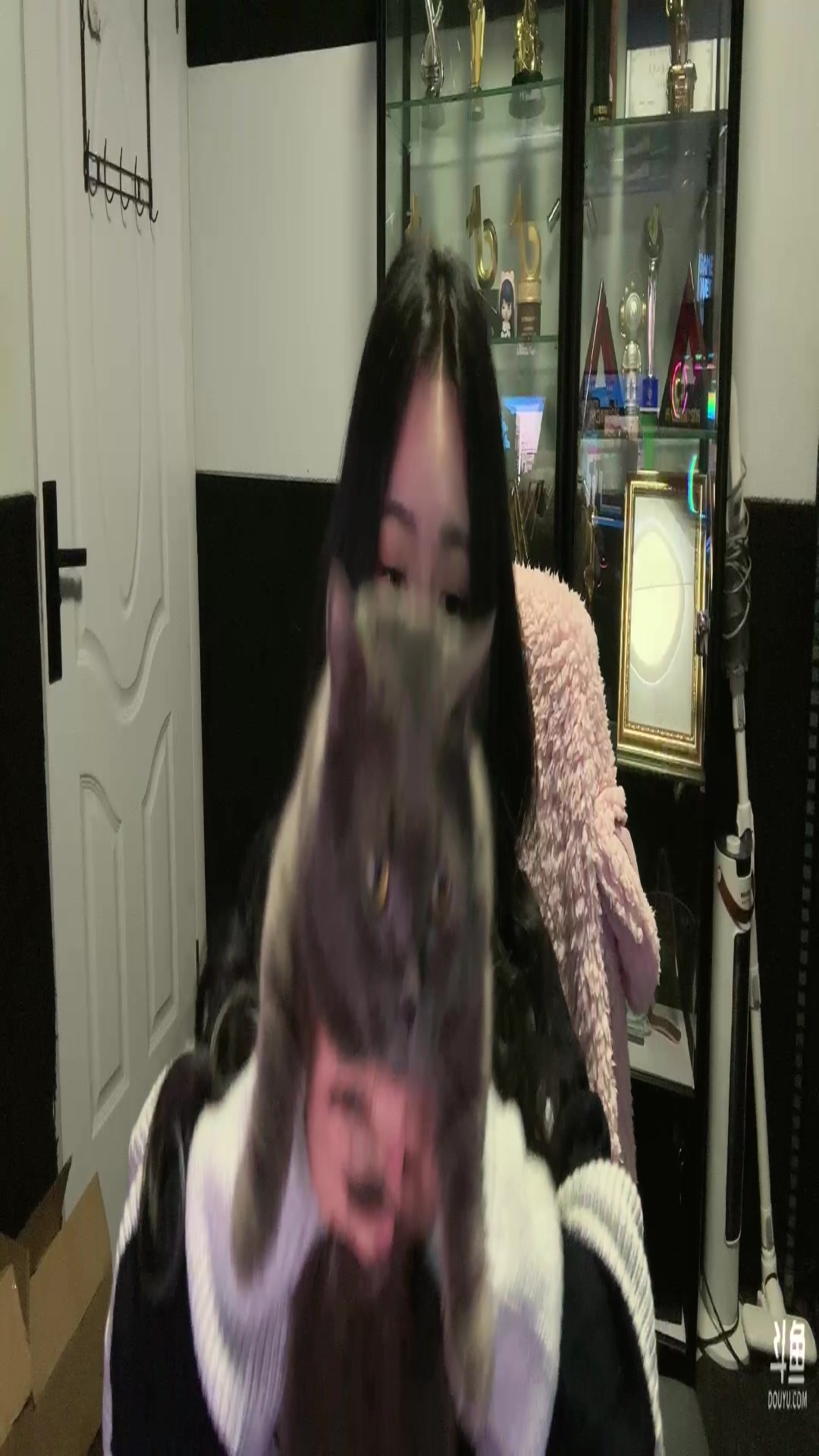 【2023-03-16 16点场】一条小团团OvO：一会试下设备