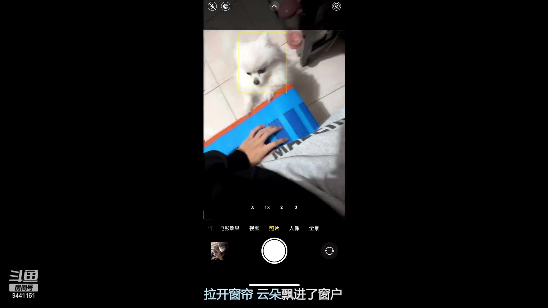 【2023-03-11 00点场】竹god：困境罢了，哥带你杀出重围