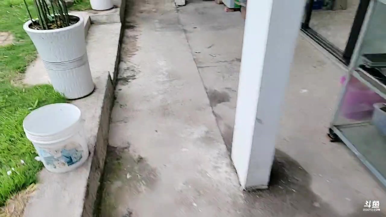 【2023-03-17 16点场】洪湖小肖：买菜搞美食小聚一下
