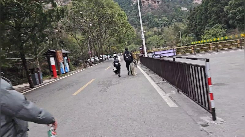 【2023-03-17 14点场】蓝战非OvO：张家界第二天环游