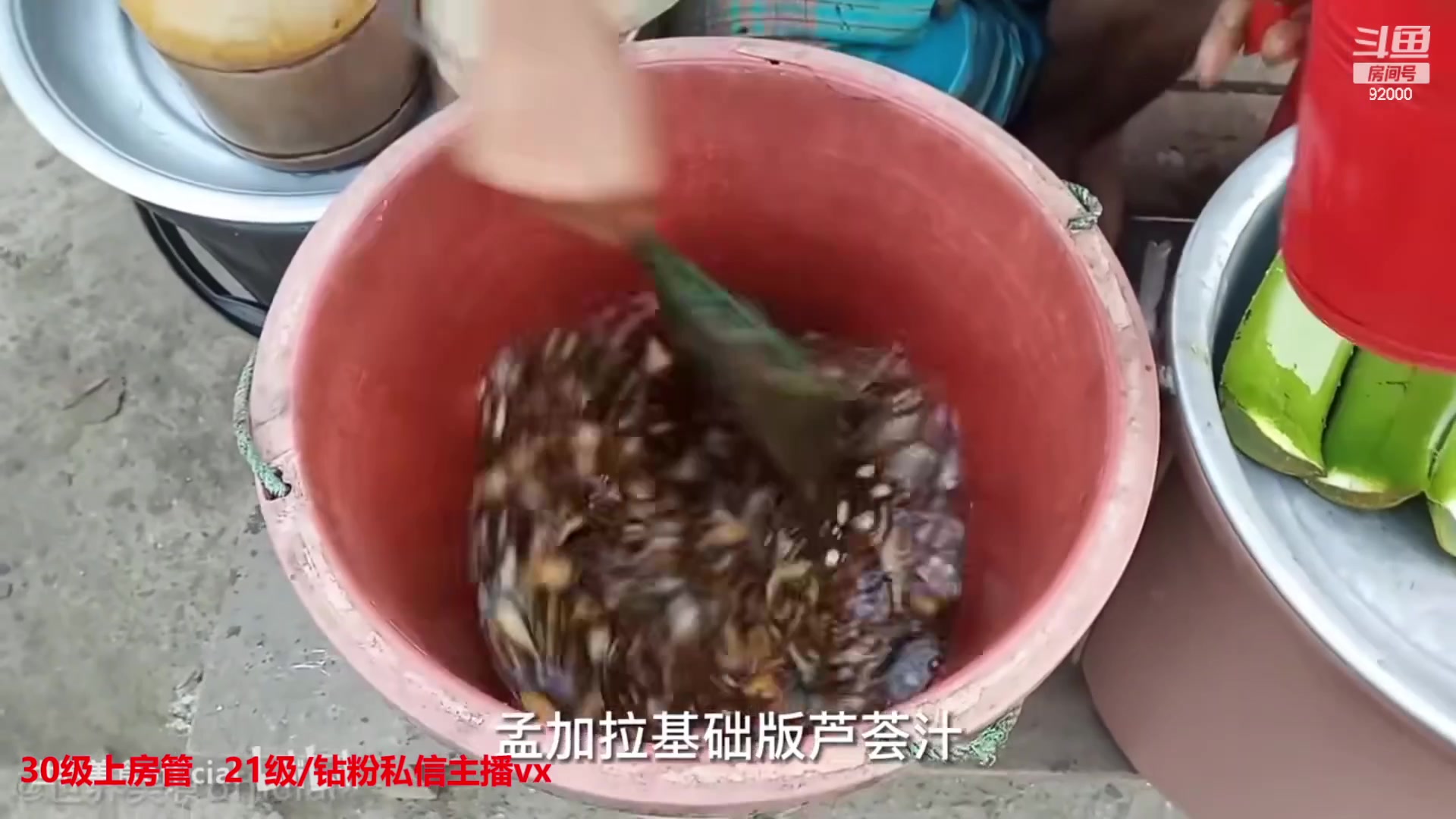 【2023-03-17 08点场】呆妹儿小霸王：一起seel了