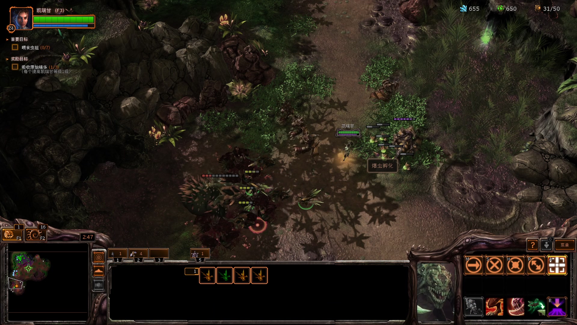 【2023-03-17 17点场】陶可可coco：魔女可#下午三点半星际争霸