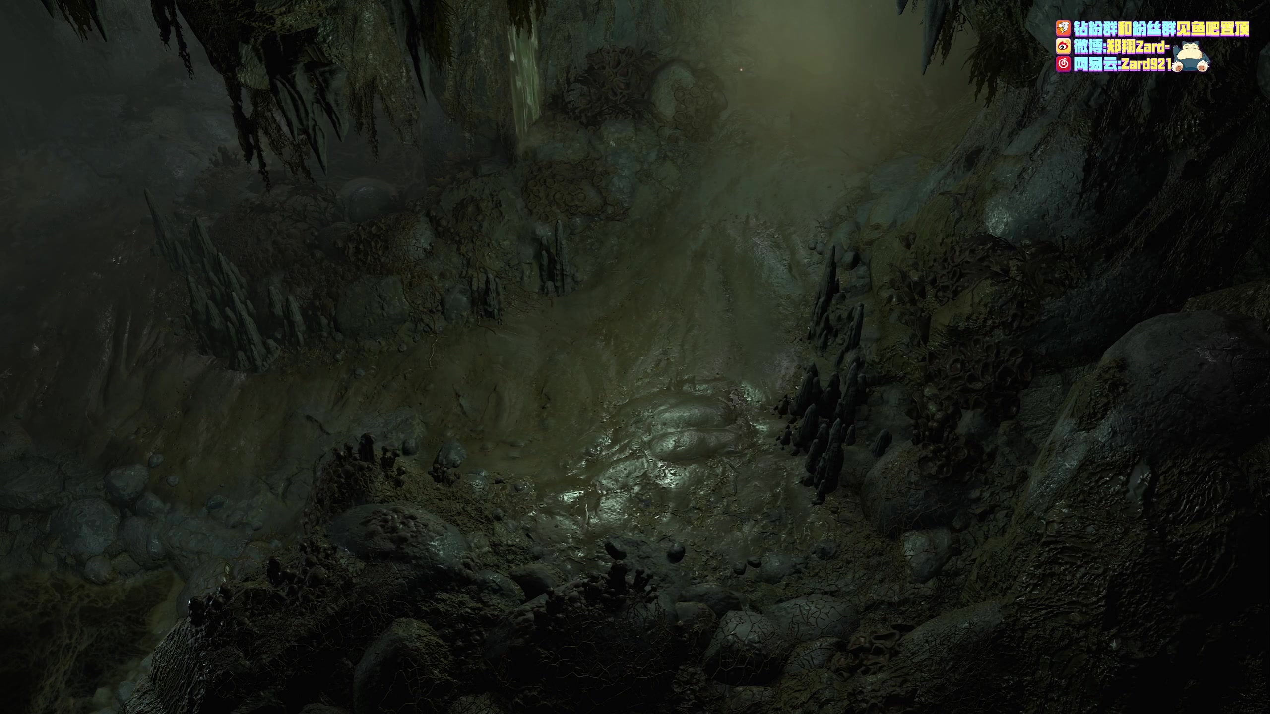 【2023-03-18 18点场】zard1991：zard1991 chill dude