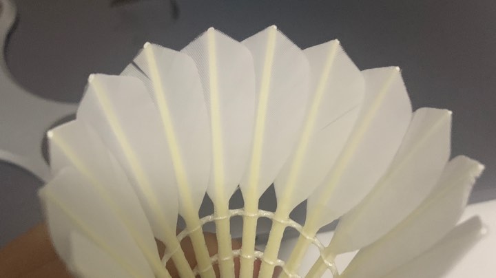 【2023-3-18 10点场】小欻欻来啦:小欻欻来啦的直播间