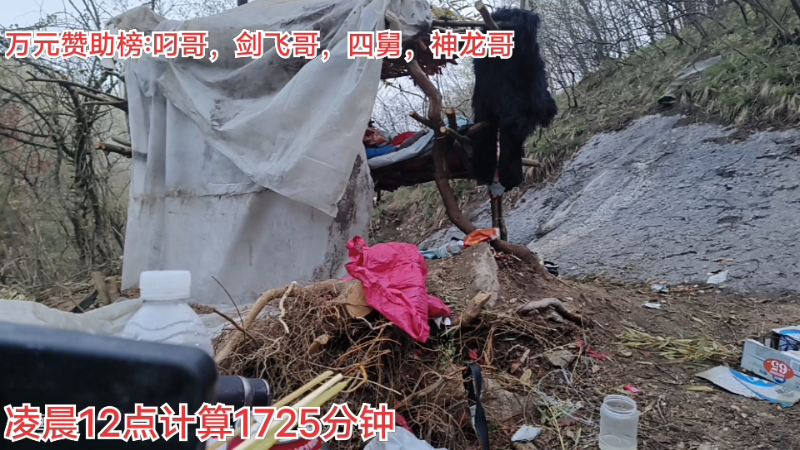 我在斗鱼看阿科哥直播户外