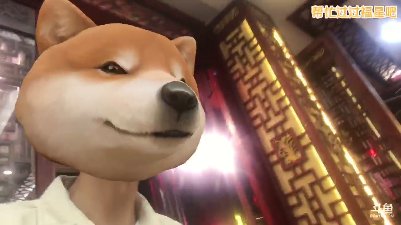 【2023-03-17 20点场】野猪九月：【小奶团】名人堂请投票马老师各位