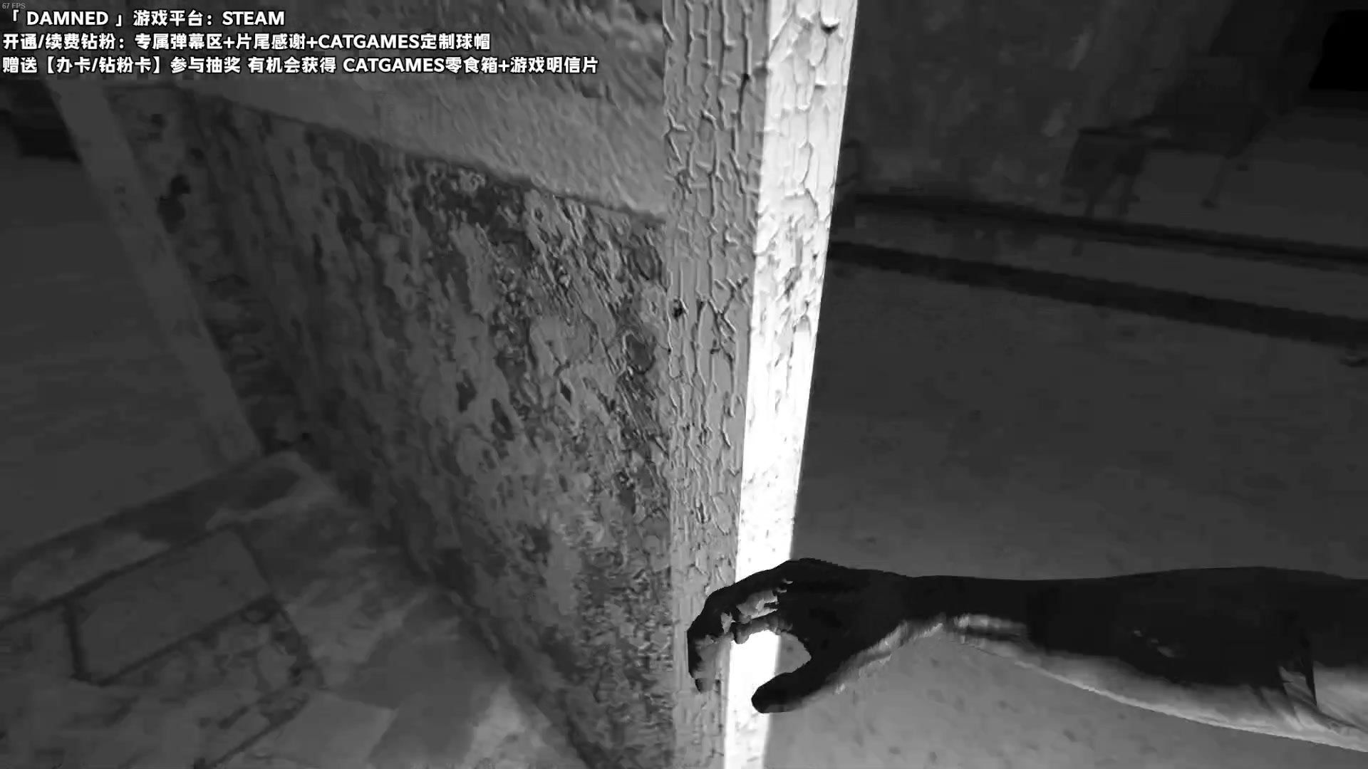 【2023-03-19 20点场】老猫CatGames：【Cat】Hello Mary！