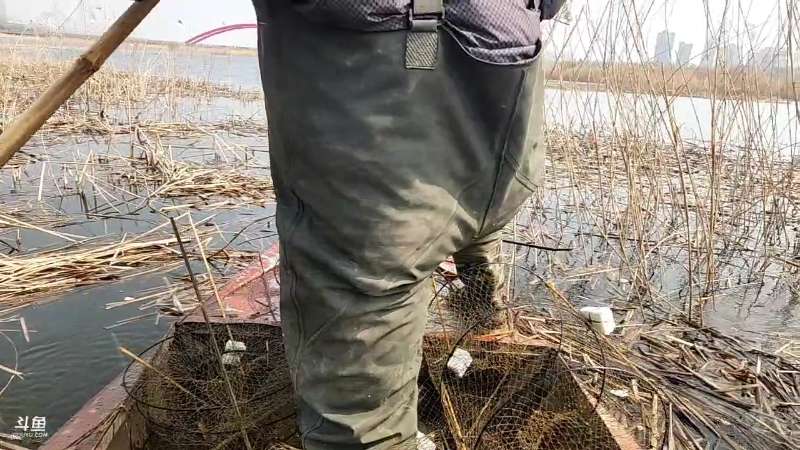【户外】微山湖捕鱼武工队的精彩时刻 20230319 11点场