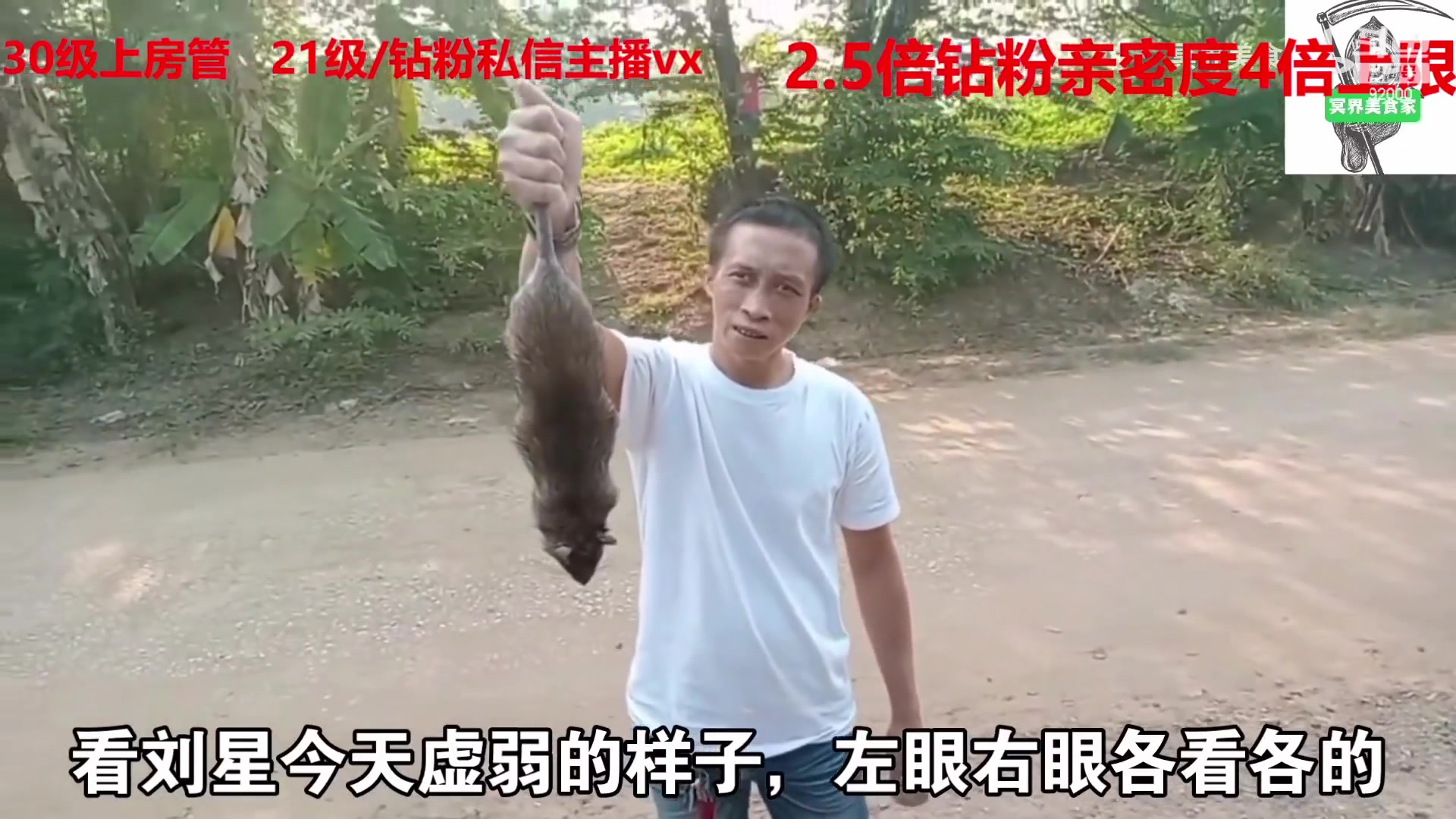 【2023-03-19 06点场】呆妹儿小霸王：【钻粉2.5倍】一起see