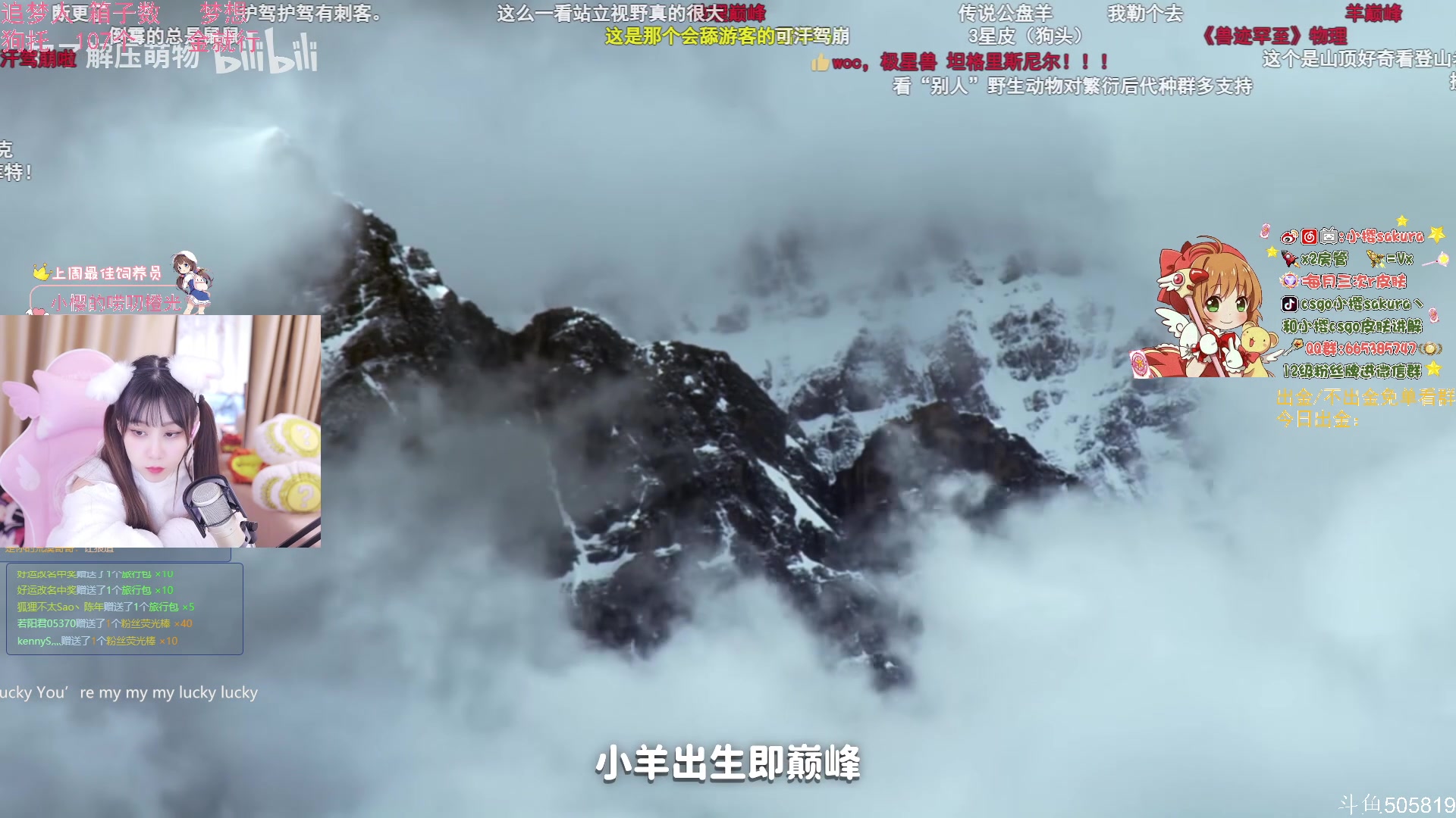 【2023-03-21 01点场】小樱sakura灬：【小樱】睡不好傻一天