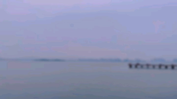 惠娜娜呀发布了一个斗鱼视频2023-03-21