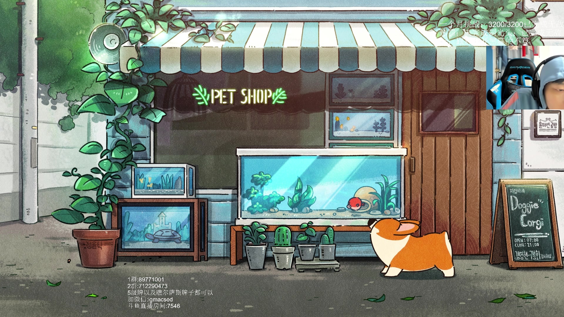 【2023-3-20 13点场】igmacsed:目标已达成，下一站快乐DOTA哈哈哈哈哈