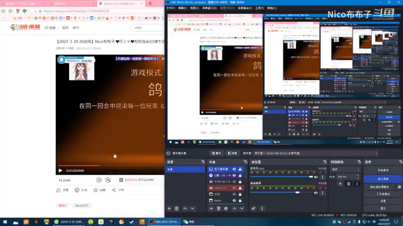 鹅鸭杀之地下双雄：阿呆与阿瓜（极速版）