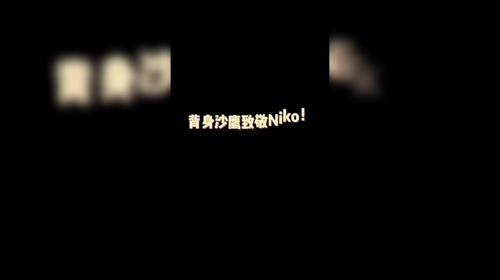 致敬Niko！
