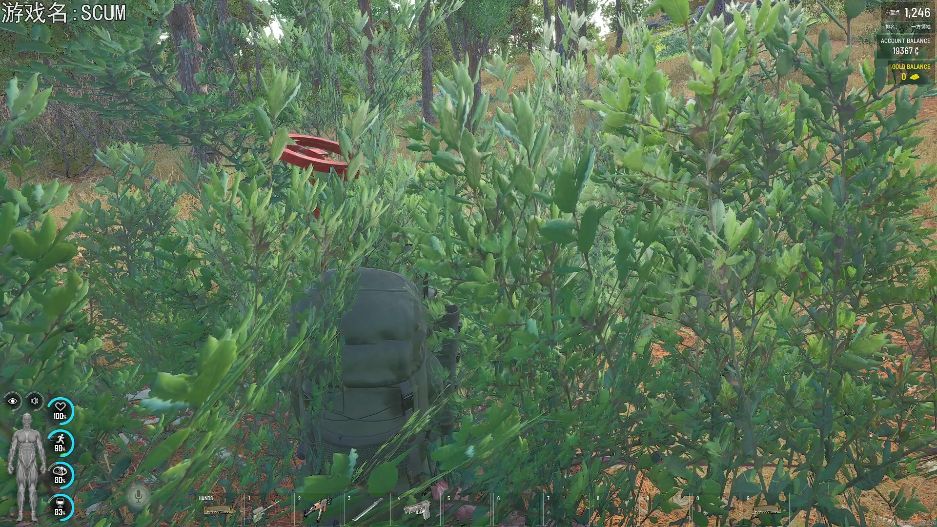 【2023-03-22 18点场】巴格拉斯：热爱生活，走进巴叔