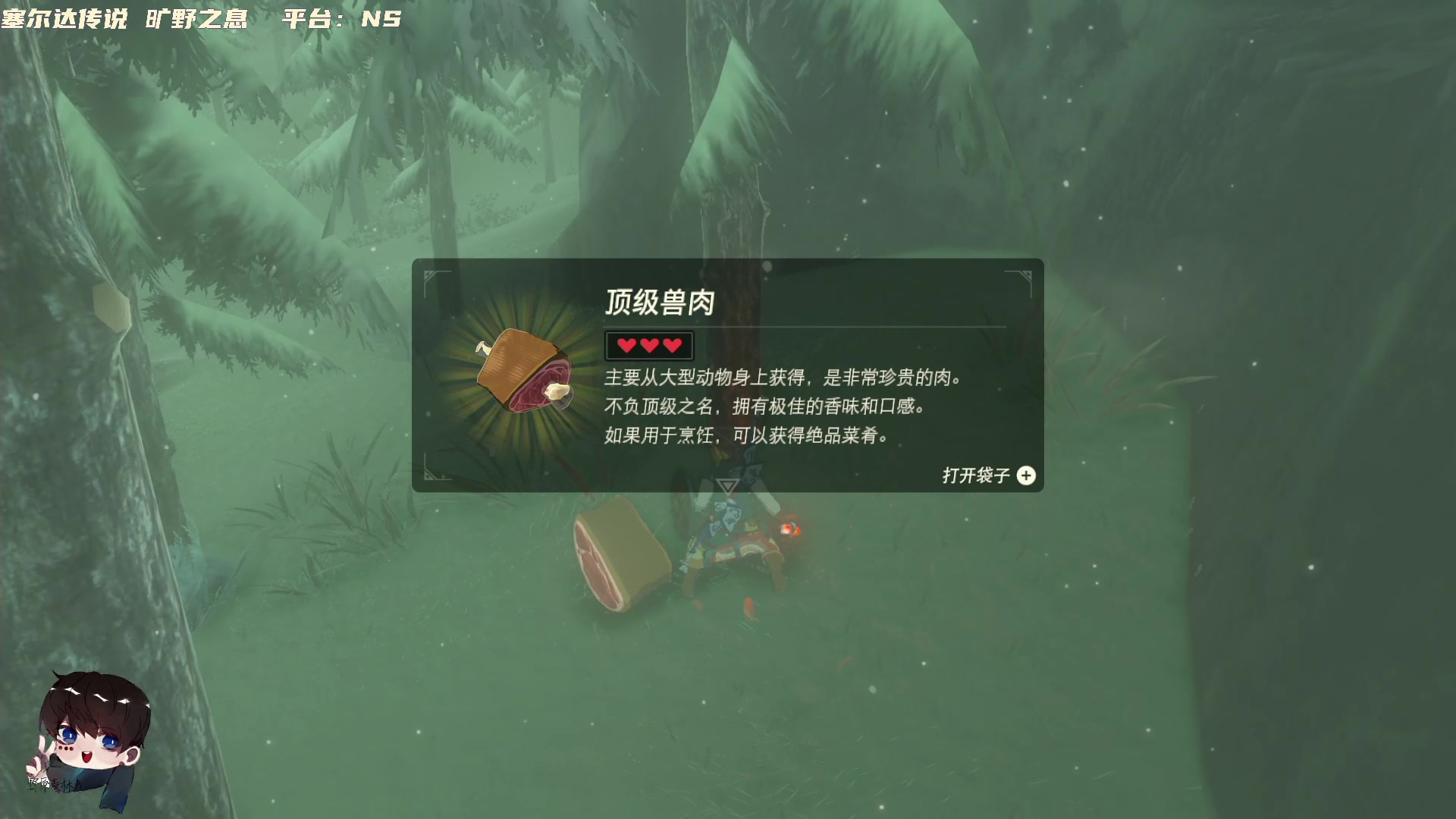 【2023-03-21 19点场】野原麦林：塞尔达，我一会儿就去救你，真的