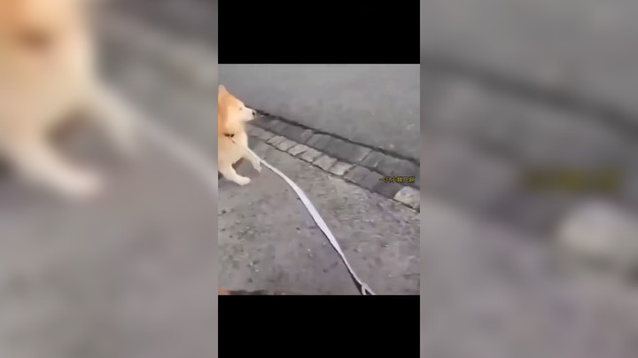 搞笑