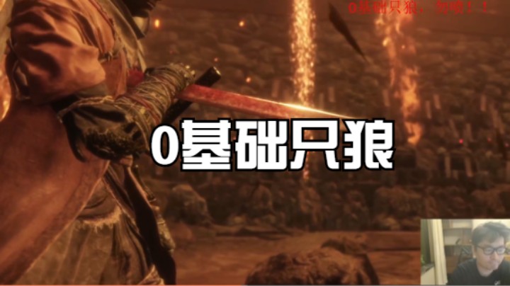 0基础只狼勿喷2