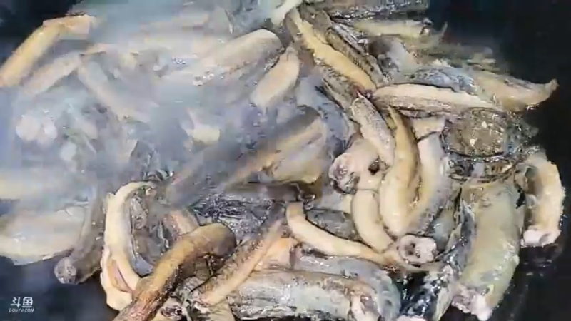 肖哥直播做菜，这美食看起来就好吃啊