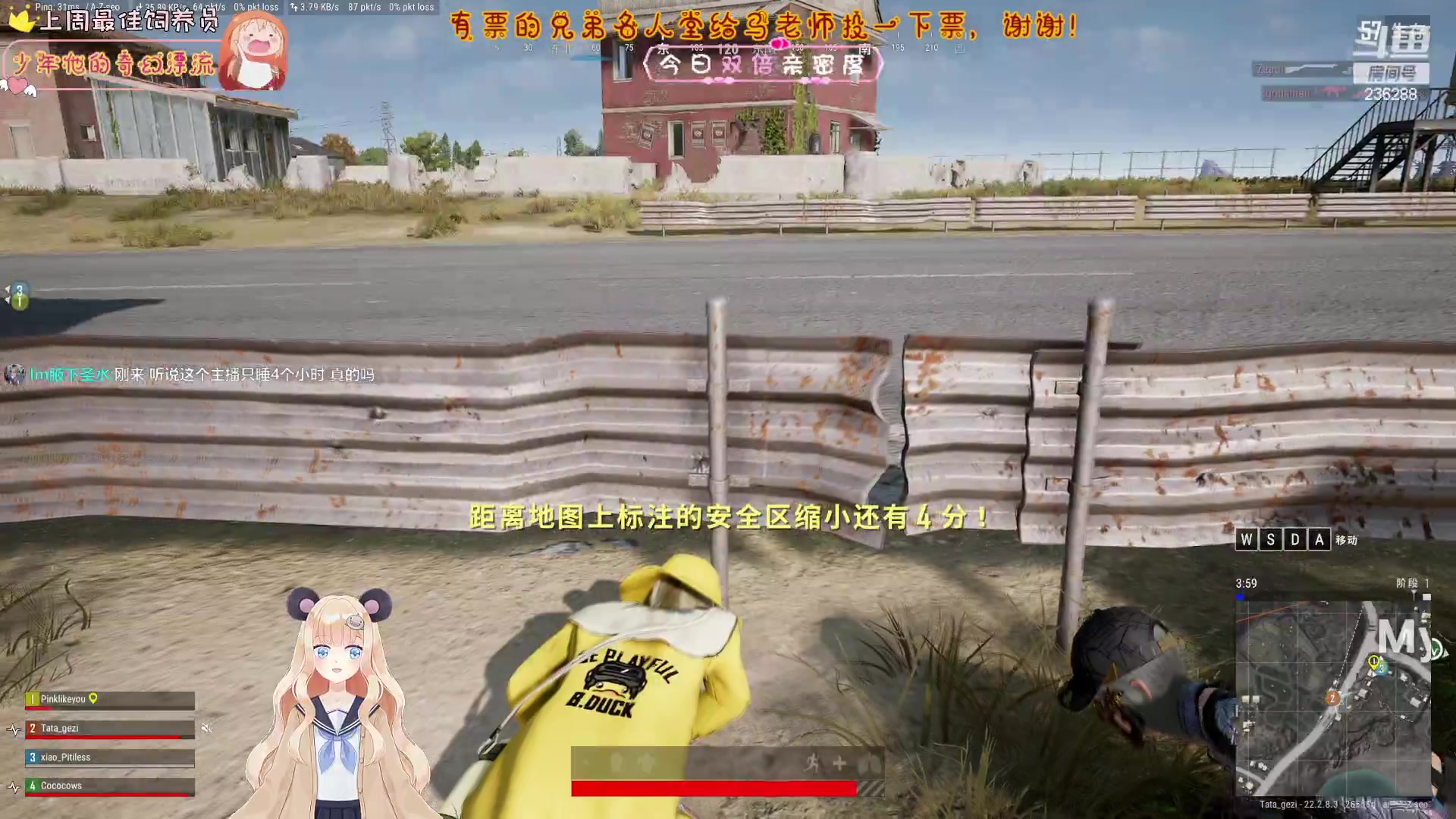 【2023-03-24 03点场】宇宙超级无敌鸽子她：争取不当盒平鸽！名人堂投票给马老师！