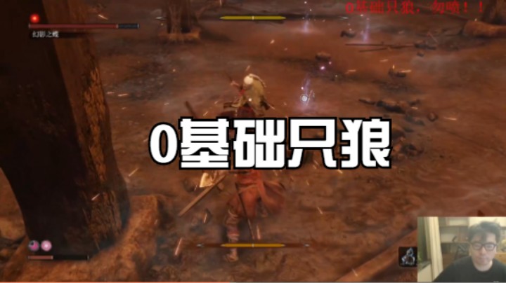 0基础只狼勿喷1