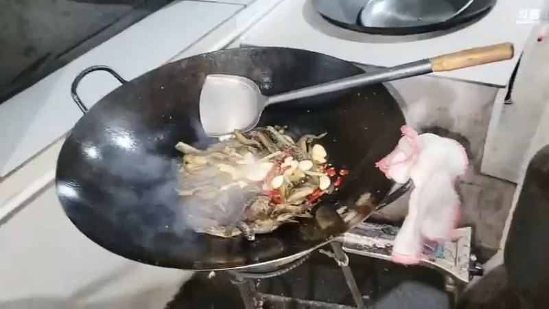 肖哥看煎泥鳅美滋滋