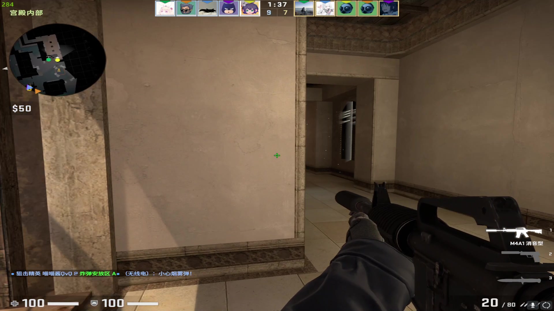 【2023-03-23 15点场】野猪九月：【小奶团】名人堂请投票马老师