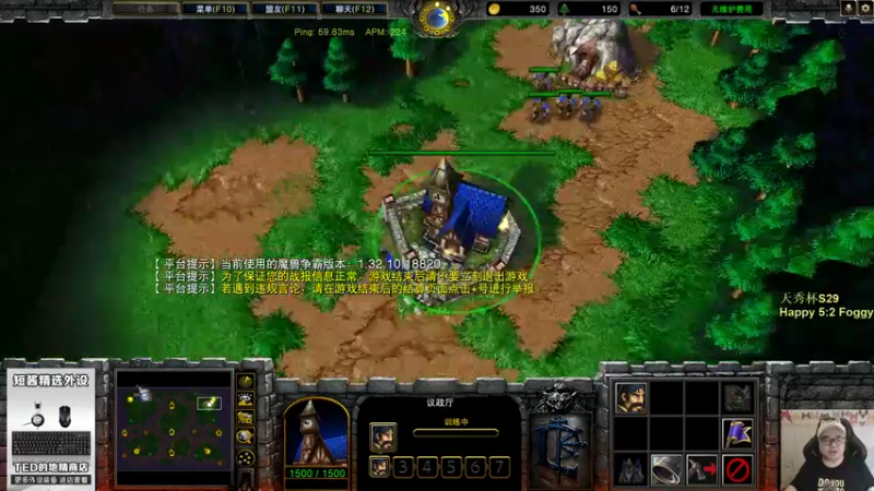 【TED出品】天梯非主流开心游2231 凤求凰