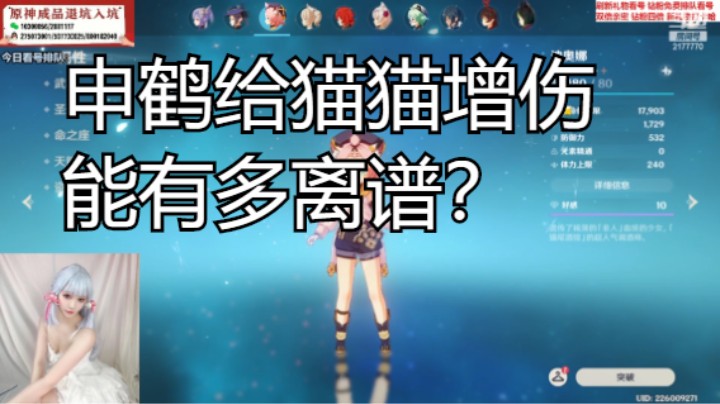 申鹤给猫猫增伤有多离谱？