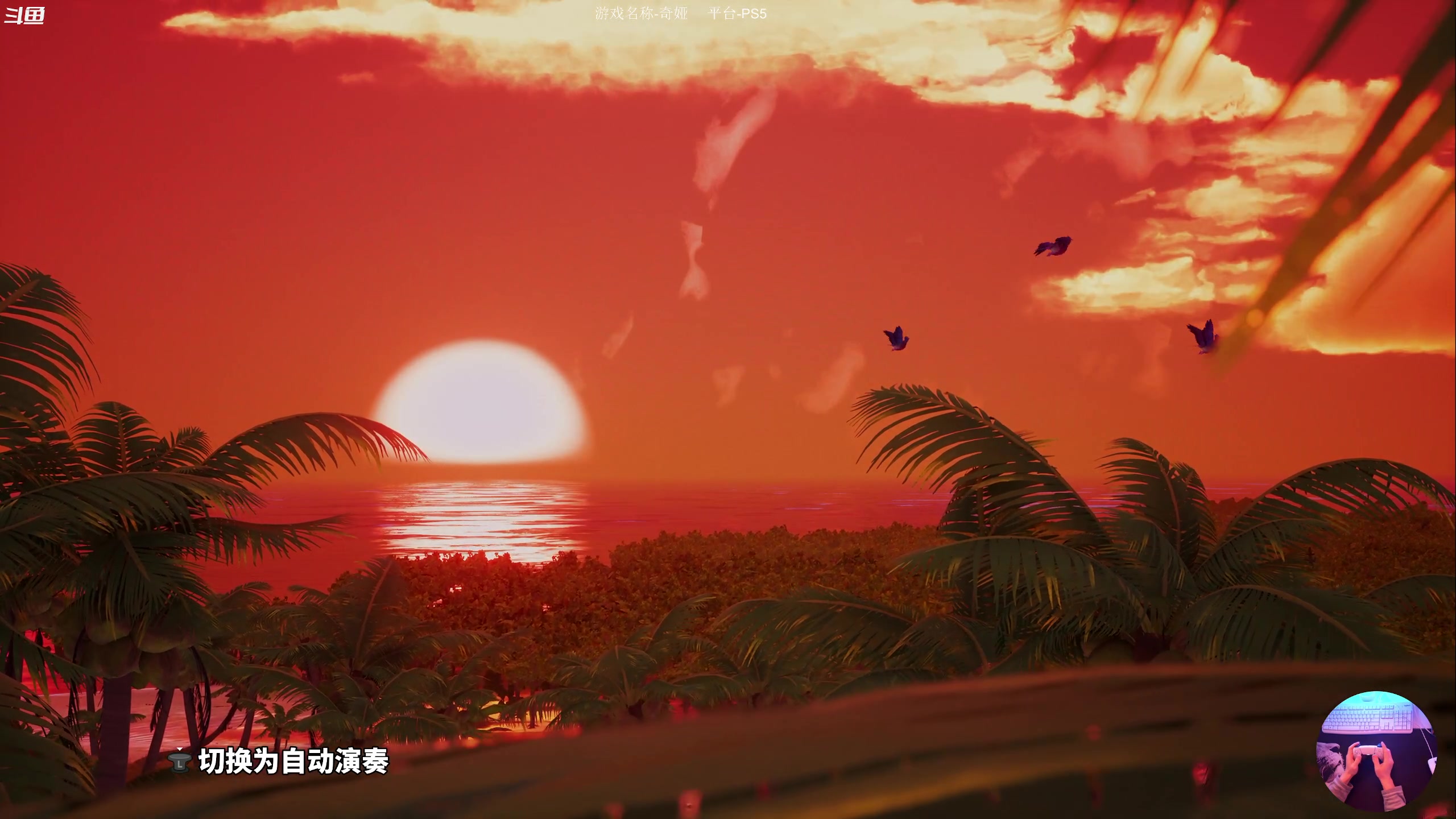 【2023-03-25 18点场】蕉片儿：热带小岛的故事