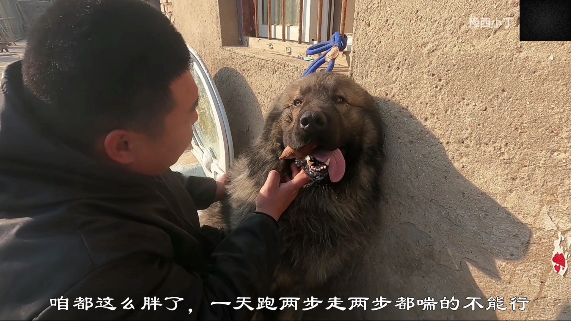 【2023-03-25 20点场】尐表哥：出个门，晚点播！