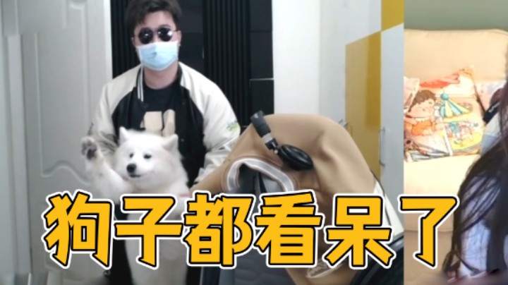 给狗子都看呆了