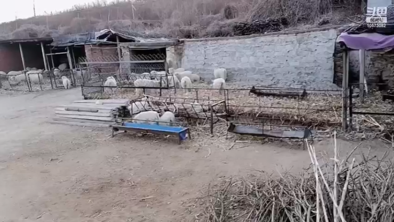 田园生活风