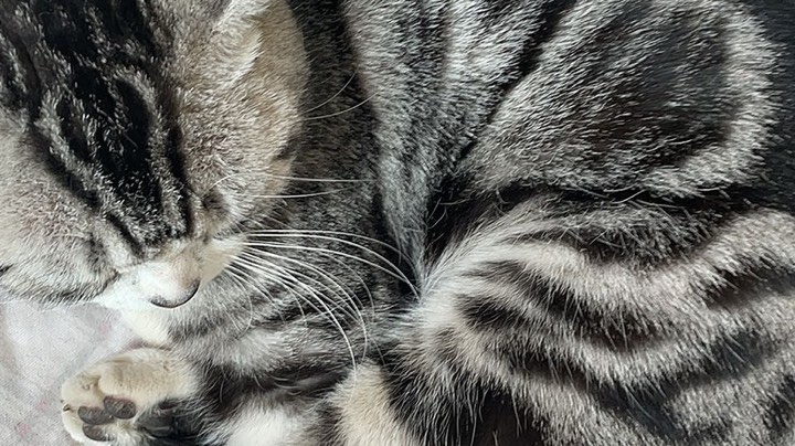 【2023-3-25 23点场】格诺天天开心:失踪人口回归了 6514363