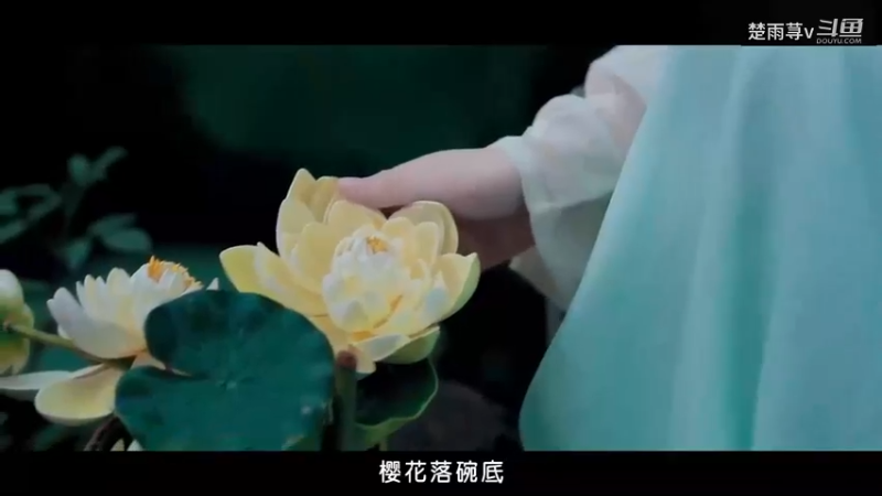 春寒傲月伶去-混剪