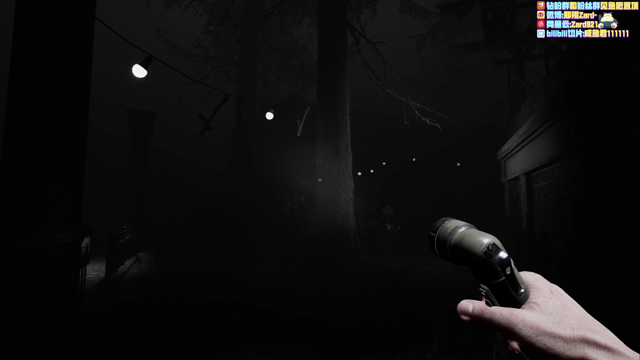 【2023-03-27 18点场】zard1991：zard1991 chill dude