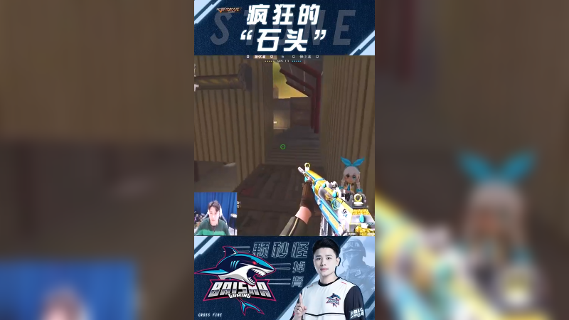 这五鲨不给我啊？