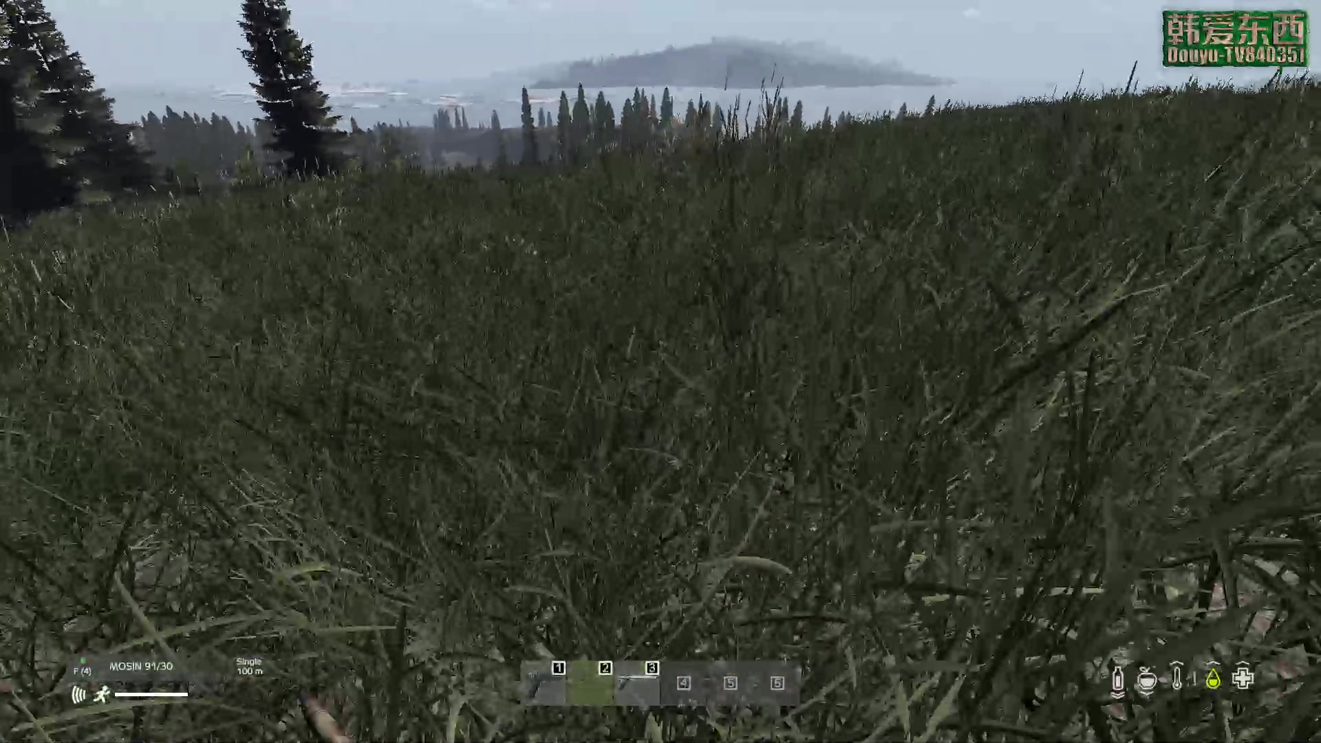 【2023-03-27 12点场】dayz韩爱东西：纳马斯克荒岛余生