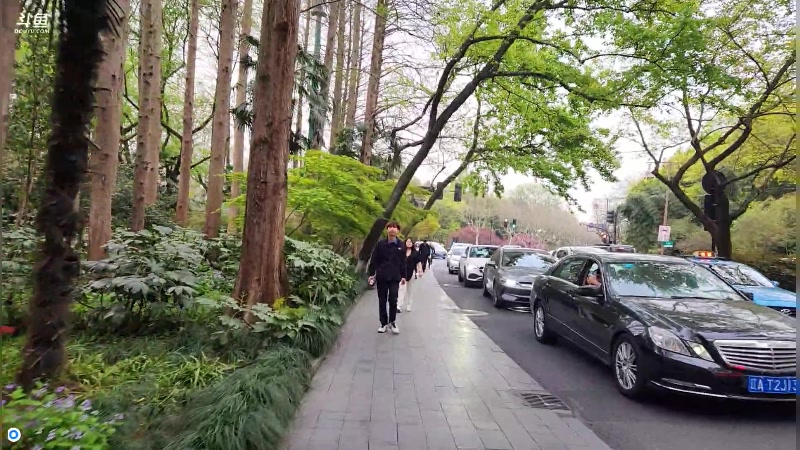 【2023-03-28 17点场】刘灶灶：春游了，走走九溪龙井村