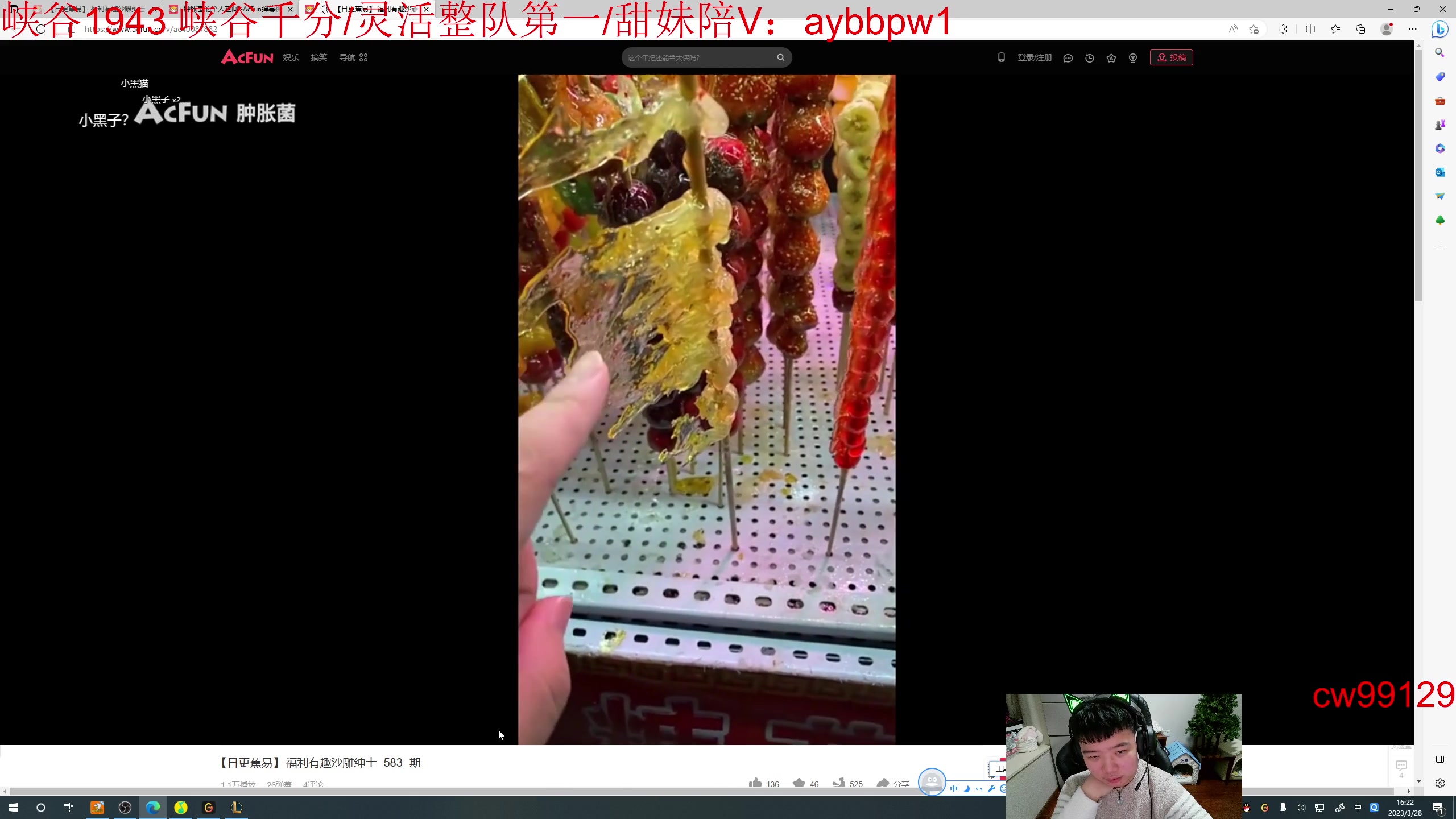 【2023-03-28 15点场】一家之猪ovo：峡谷王者局 go