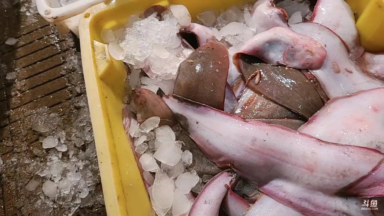 【2023-03-27 23点场】洪湖小肖：今天出海搞排钩