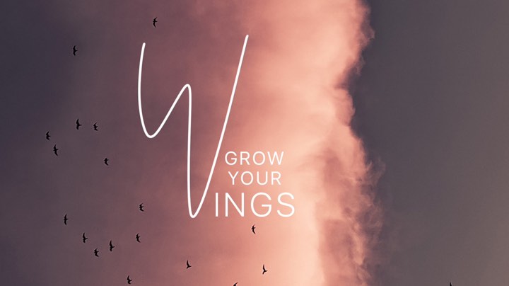 【2023-3-27 8点场】丶尛禹丶:王者荣耀S30赛季砖石晋级赛